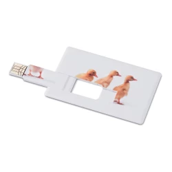 Creditcard. USB flash 32GB     MO1059-06 - MEMORAMA (MO1059-06-32G)
