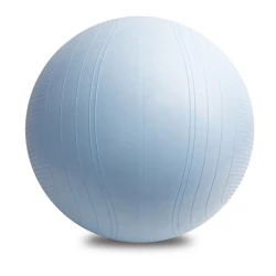 Piłka do ćwiczeń Fitball, niebieski (R07992.04)