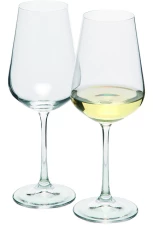 Zestaw 2 kieliszków do białego wina, 250 ml - przeźroczysty (H1300200ZH1)