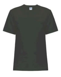 Premium T-Shirt KID TSRK 190  GRAPHITE