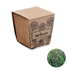 Zestaw do uprawy słonecznika - SUNFLOWER KIT (MO2411-13)