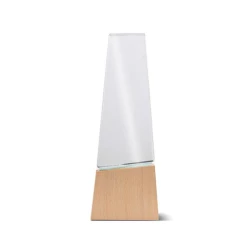 Trofeum z drewna i szkła z pudełkiem prezentowym / Best - Light Brown (IP37053338)