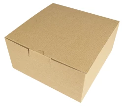 Pudełko kartonowe - 21,5 x 21,5 x 10,5 cm - beżowy (karton06)