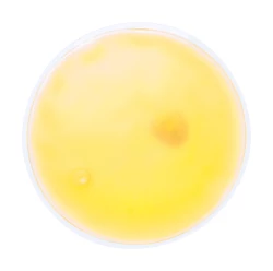 Kison okład rozgrzewający - żółty (AP781012-02)